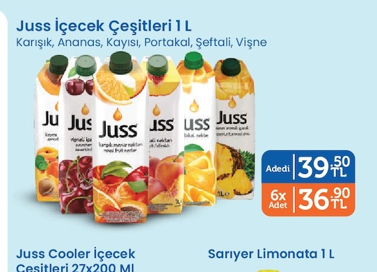 Juss İçecek Çeşitleri 1 L