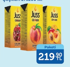 Juss Cooler İçecek Çeşitleri 27X200 Ml