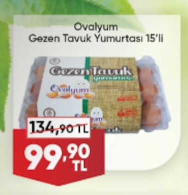 Ovalyum Gezen Tavuk Yumurtası 15'Li