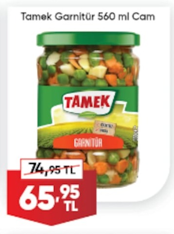 Tamek Garnitür 560 Ml Cam