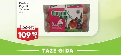 Ovalyum Organik Yumurta 15'Li