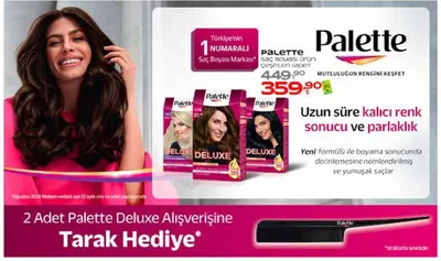 Palette Deluxe Saç Boyası