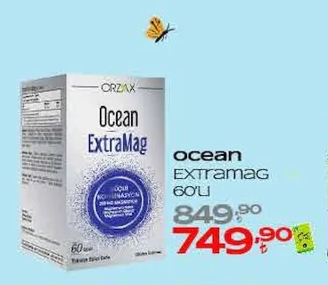 Ocean Extramag 60'Lı