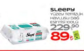 Sleepy Yüzey Temizlik Havlusu Dağ Esintisi 100'Lü