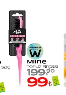 Mihne Topuz Fırçası