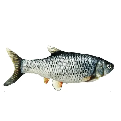 KPT-10614C Evcil Hayvan Oyuncağı Balık