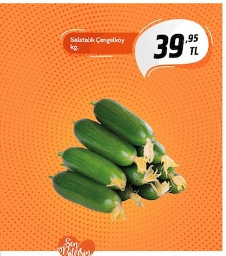Salatalık Çengelköy Kg