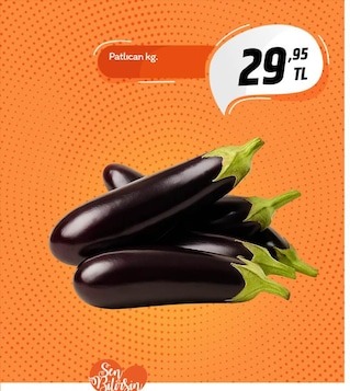 Patlıcan Kg
