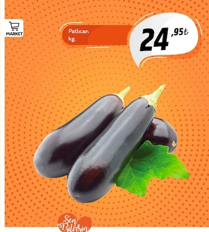 Patlıcan Kg.