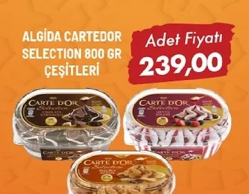 Algida Cartedor Selection 800 Gr Çeşitleri