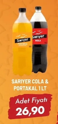 Sarıyer Cola & Portakal 1 Lt