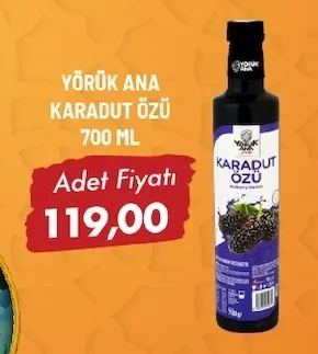 Yörük Ana Karadut Özü 700 Ml