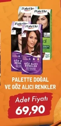 Palette Doğal Ve Göz Alıcı Renkler