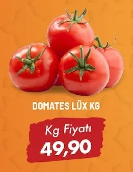 Domates Lüx Kg