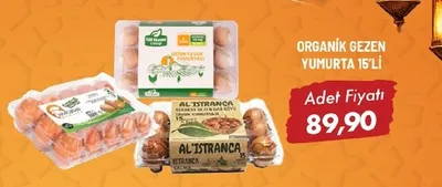 Organik Gezen Yumurta 15'Li