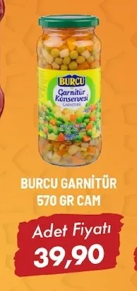 Burcu Garnitür 570 Gr Cam