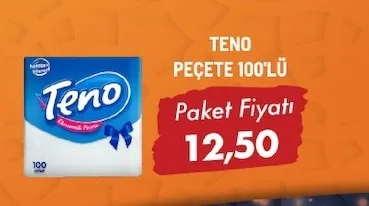 Teno Peçete 100'Lü