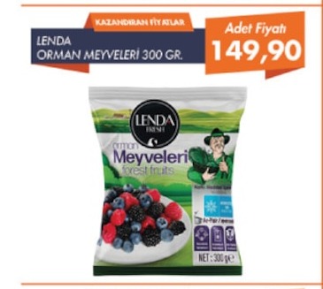 Lenda Orman Meyveleri 300 Gr