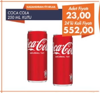 Coca Cola 250 Ml Kutu