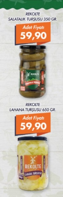 Rekolte Salatlik Turşusu 350 Gr