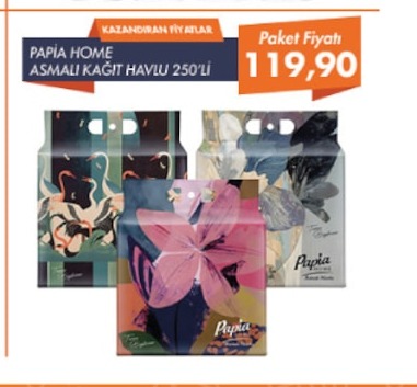 Papia Home Asmalı Kağıt Havlu 250'Li