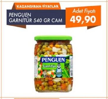 Penguen Garnitür 540G Cam